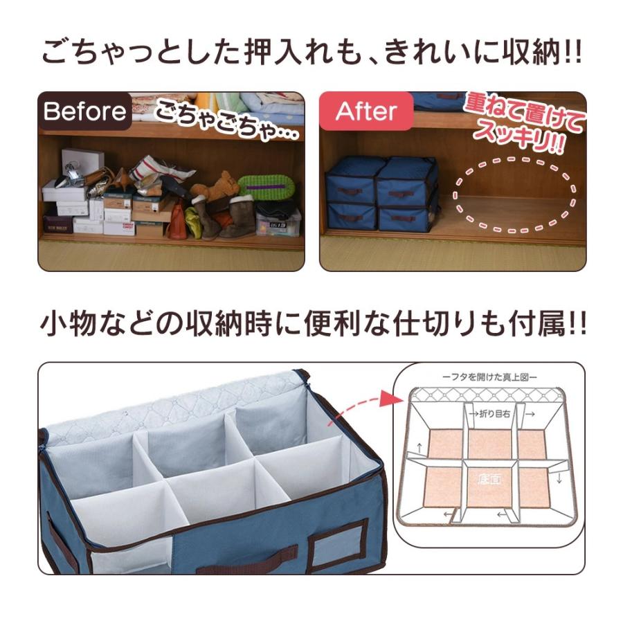 TEIJIN 帝人 乾っとパックプレミアム 収納ケース（小） 2個