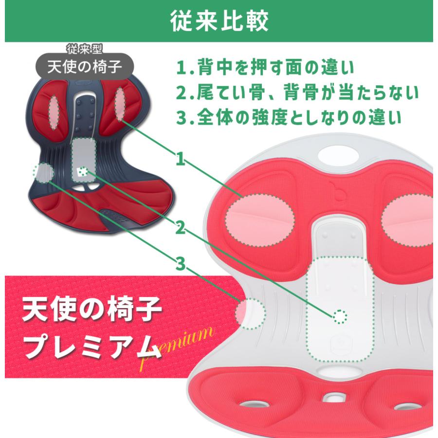 DCT 天使の椅子プレミアム 全3色 | 骨盤サポートチェア 剛性UP DCT 天使の椅子プレミアム 全3色 | 骨盤サポートチェア 剛性UP