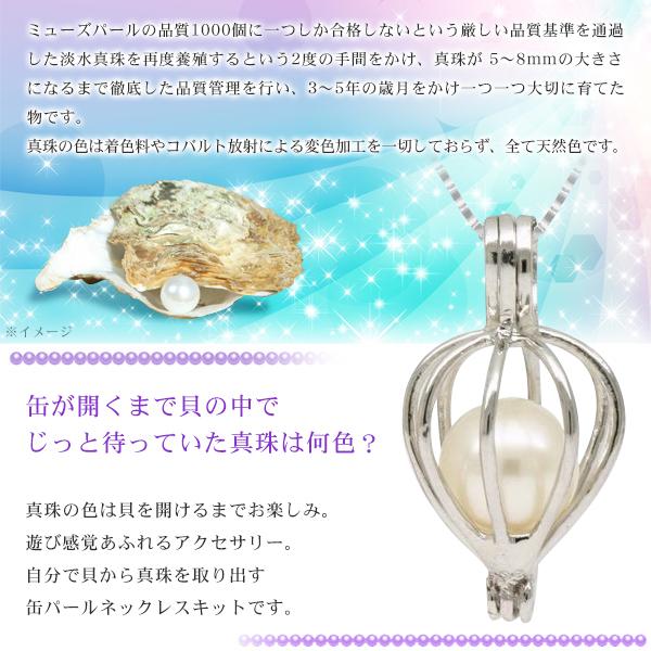 真珠 ネックレス 天然パール ペンダント付き 真珠缶 オリジナル 真珠ネックレス 品質基準クリア 淡水真珠 ギフト プレゼント S◇ 缶パールネックレス :20161115-kan:i-shop7 通販 淡水真珠 パールの缶詰 ネックレスキット 缶パールネックレス