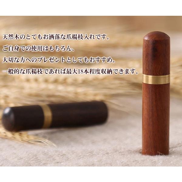 つまようじ入れ 携帯用 おしゃれ 爪楊枝入れ 木製 爪楊枝 携帯ケース