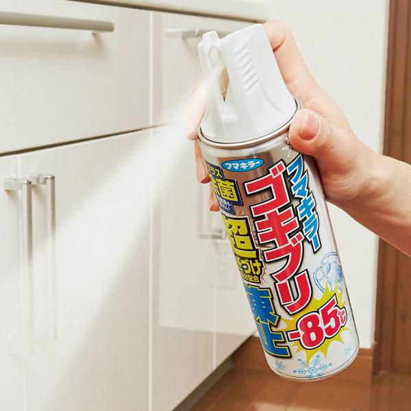 フマキラー ゴキブリ超凍止ジェット 瞬間スプレー 230ml フマキラー ゴキブリ超凍止ジェット 瞬間スプレー 230ml
