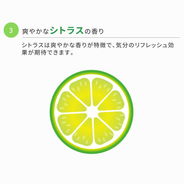 超冷感 ボディシート 30枚セット 瞬間 ひんやり 全身 シート