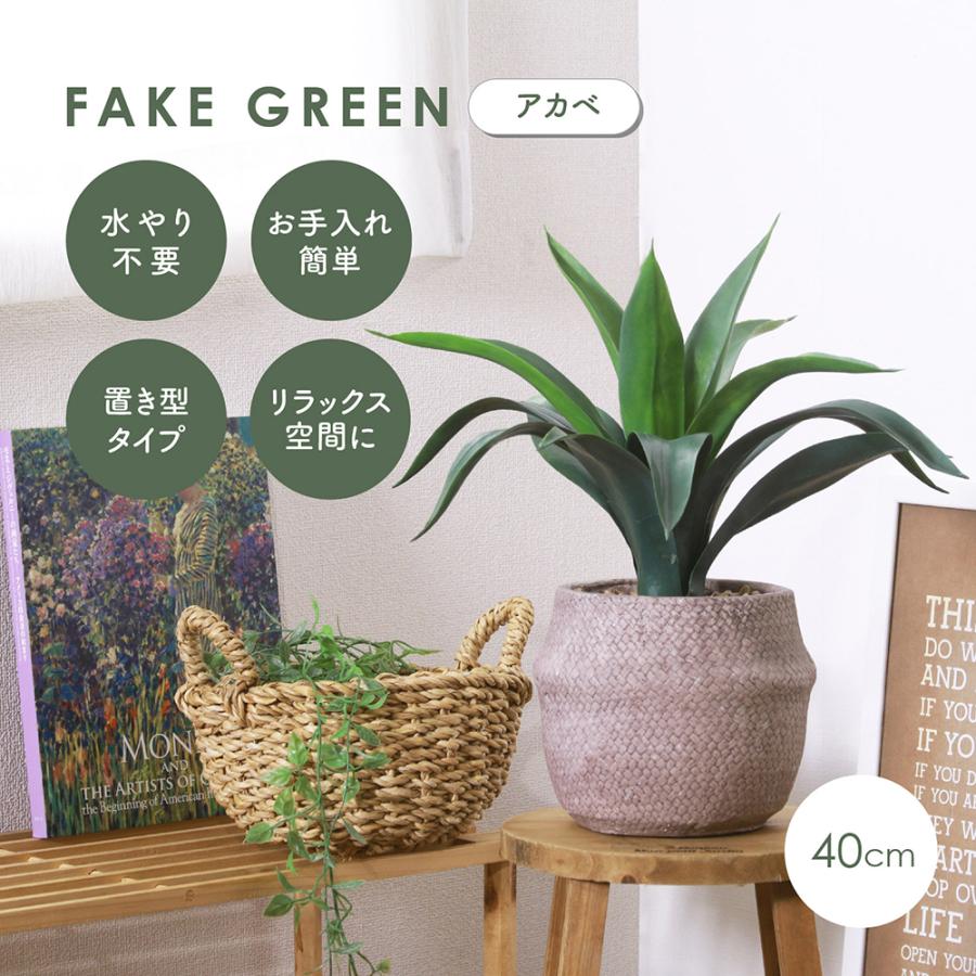 観葉植物　アガベ　大株　高さ60cm　おしゃれな鉢付き 観葉植物 アガベ 大株 高さ60cm おしゃれな鉢付き