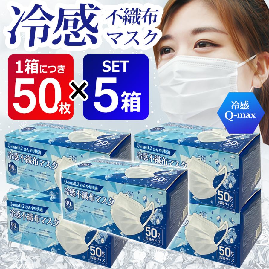 250枚】マスク 不織布 50枚入り×5箱セット 冷感 立体マスク 白 接触冷