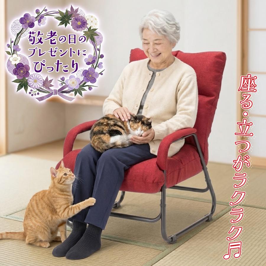 リクライニングチェア 立ち上がり楽々 高座椅子 ゆったり 一人掛け