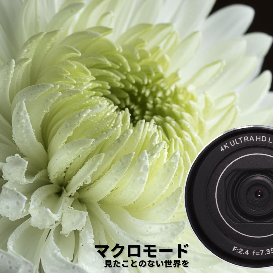 バッテリー2個付属】ビデオカメラ 4K 超高画質 デジタルムービーカメラ