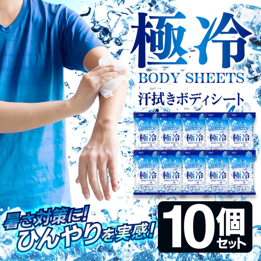 大量250枚】ボディシート ひんやり 汗拭きシート 厚手 25枚入×10個 