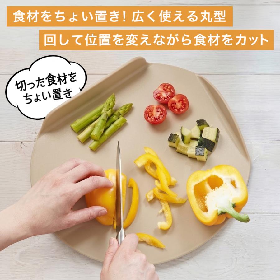 LEC（レック） まな板 日本製 食洗機対応 立つまな板 抗菌 うつし