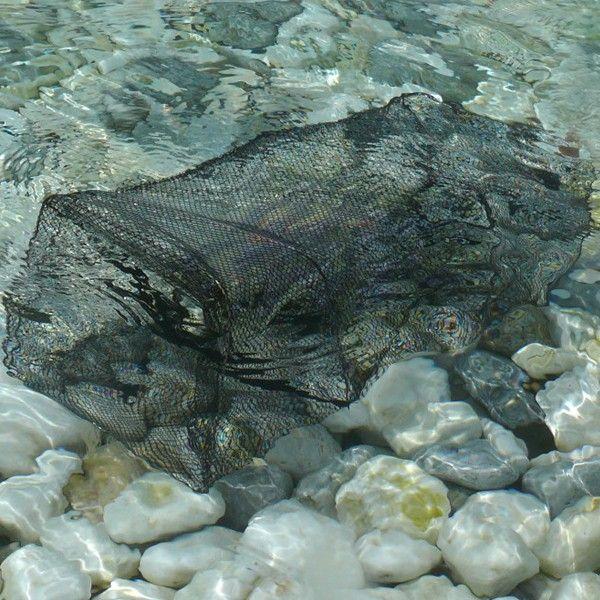 激安399円 漁具 大漁捕穫 漁獲用網かご 魚捕り網カゴ コンパクト収納 餌入れ 海や川で大漁 軽くて使いやすい 釣り道具 限定セール 網かご Ggr 001 I Shop7 通販 Yahoo ショッピング