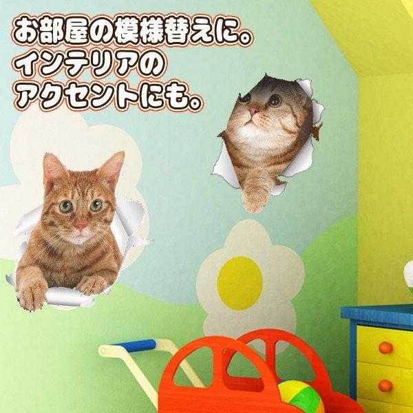 猫 ステッカー 5枚セット 飛び出す ウォールステッカー デコレーション