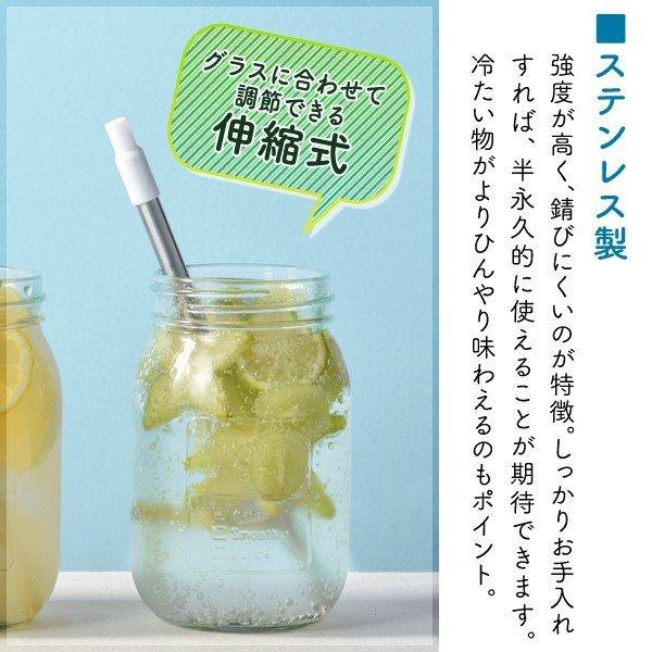 送料無料 ステンレスストロー 携帯用 3本セット 洗浄ブラシ＆ケース付