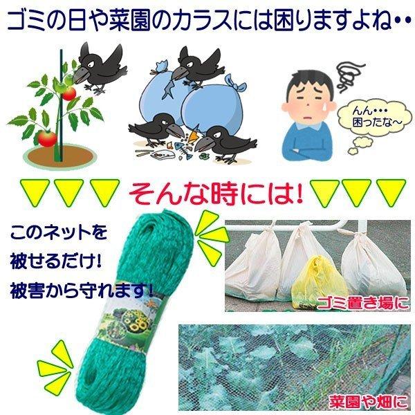 【特価商品】防鳥ネット 防獣ネット カラスよけ 鳥避け 農業用 ゴミ回収 防護 Amazon.co.jp: sanmaao 防鳥ネット 鳥よけ 家庭菜園 カラスよけ