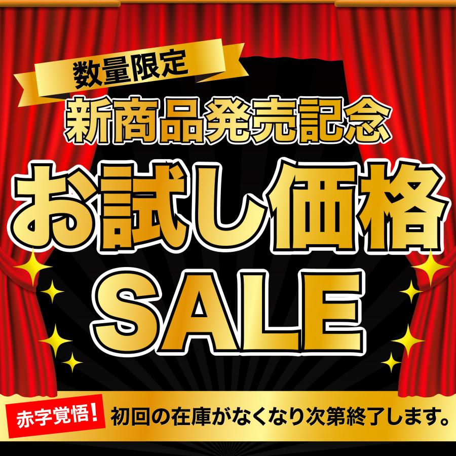 iPhone17 Pro iPhone16 16e iPhone15 カメラカバー カメラ保護 レンズカバー カメラフィルム iPhone Air iPhone 14 13 12 11 Pro Max Plusガラスフィルム 2枚 | iPhone | 10