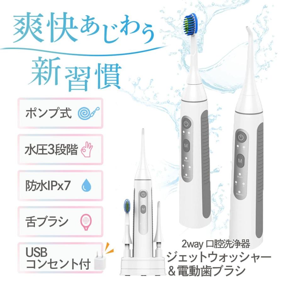 PHILIPS 電動歯ブラシとAirFloss 口腔洗浄機 口腔洗浄器 ジェットウォッシャー 電動歯ブラシ ウォーターフロス
