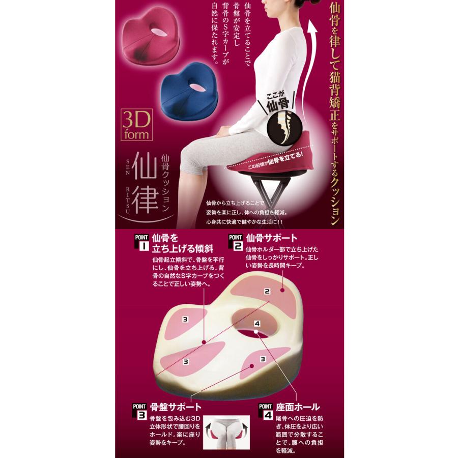 Swedish Posture 骨盤・姿勢矯正クッション 仙骨 矯正 クッション 仙骨クッション 仙律 パッド マット 肌触り 低
