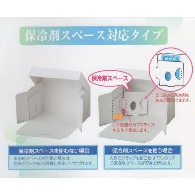 A54120 ロックBOX 120 ホワイト ３.５×５（300枚） A54120 ロックBOX 120 ホワイト 3.5×5（300枚）105×150×120mm