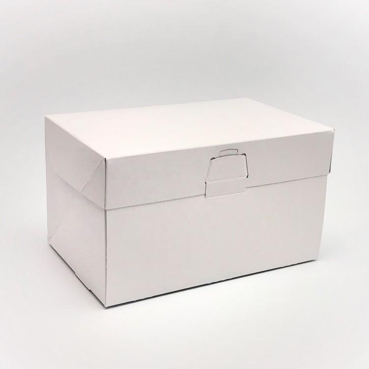 A50180 ロックBOX 105 ホワイト 9×11（100枚）270×330×105mm 保冷剤