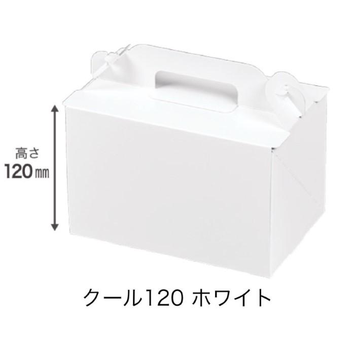 A82030 手提げ箱 クール120 ホワイト 4×6（300枚）手サゲ式 内寸120