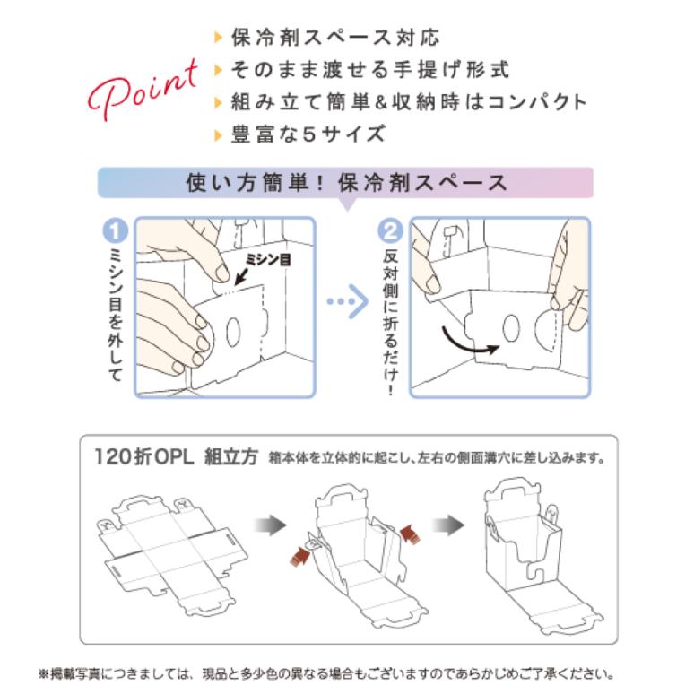 A82030 手提げ箱 クール120 ホワイト 4×6（300枚）手サゲ式 内寸120