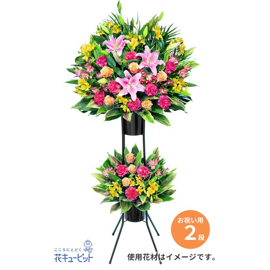 肌触りがいい スタンド花 花輪 開店祝い 開業祝い 新築 引っ越し お祝い 記念日 花キューピットのお祝いスタンド花2段 ミックス系 開店祝い Zoetalentsolutions Com