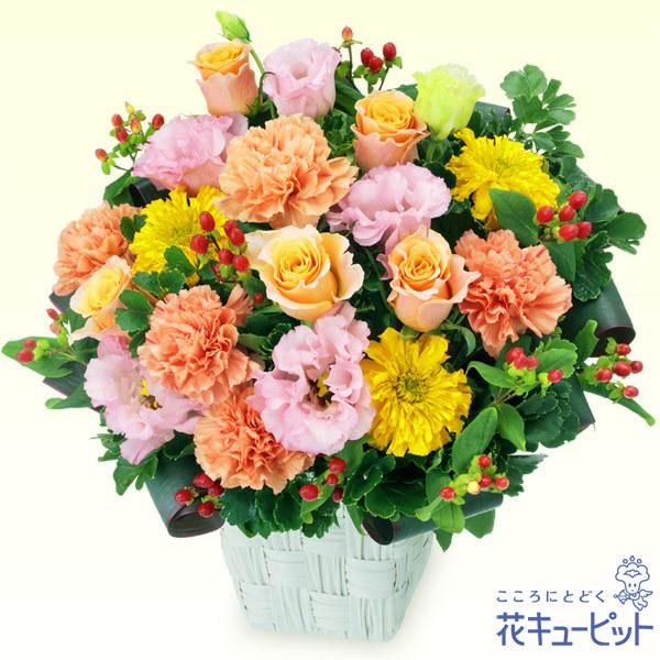 日本産 父の日 プレゼント ギフト お祝い 母の日 花キューピットのオレンジバラとトルコキキョウのアレンジメント 人気特価激安 Www Technet 21 Org