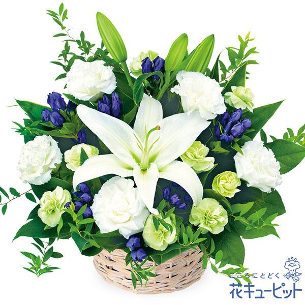 定価の67 ｏｆｆ お盆 新盆 初盆 供花 お悔やみ お供え 花キューピットのお供えの