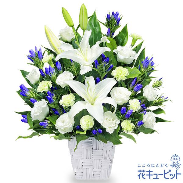 定価の67 ｏｆｆ お盆 新盆 初盆 供花 お悔やみ お供え 花キューピットのお供えの