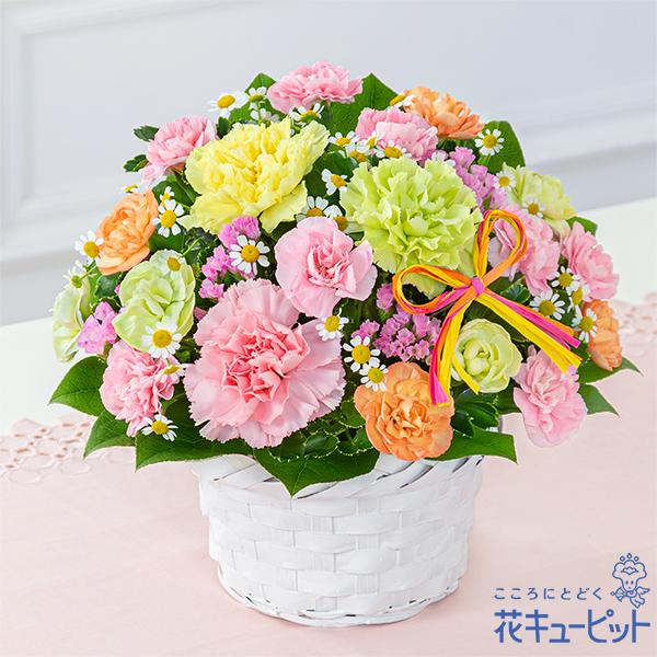 【母の日ギフト 遅れてごめんね】花キューピット プレゼント カーネーション ママ お母さん 誕生日 お祝い カーネーションのミックスアレンジメント（Yahoo!・花キューピット）