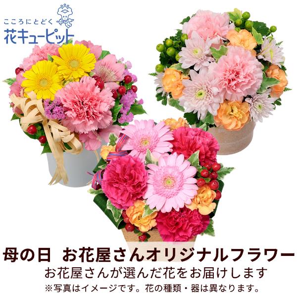 【母の日ギフト 遅れてごめんね】花キューピット プレゼント カーネーション ママ お母さん 誕生日 お祝い 【お花屋さんおすすめ】オリジナルアレンジ（Yahoo!・花キューピット）