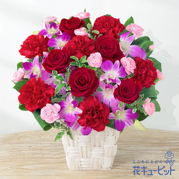 気質アップ 母の日 ギフト 21 プレゼント 花 カーネーション 誕生日 60代 70代 花キューピットの幸せたっぷりアレンジメント 最安値 Esiba Tg