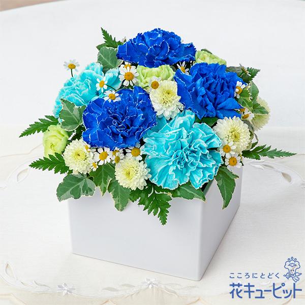 【母の日ギフト】花キューピットカーネーション 60代 70代 送料無料 ロマンチック（ブルー）（Yahoo!・花キューピット）