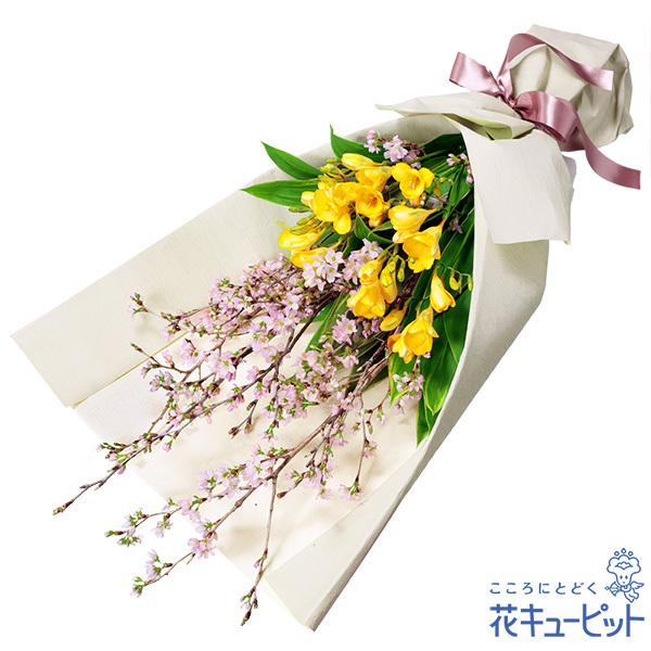 春のお誕生日 お祝い 入学 卒業 就職 退職 記念日 花キューピットのさくらの