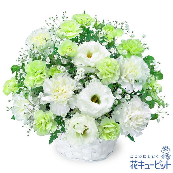 95 Off ペット用フラワーギフト お供え ペット 供花花キューピットのお供えのアレンジメント