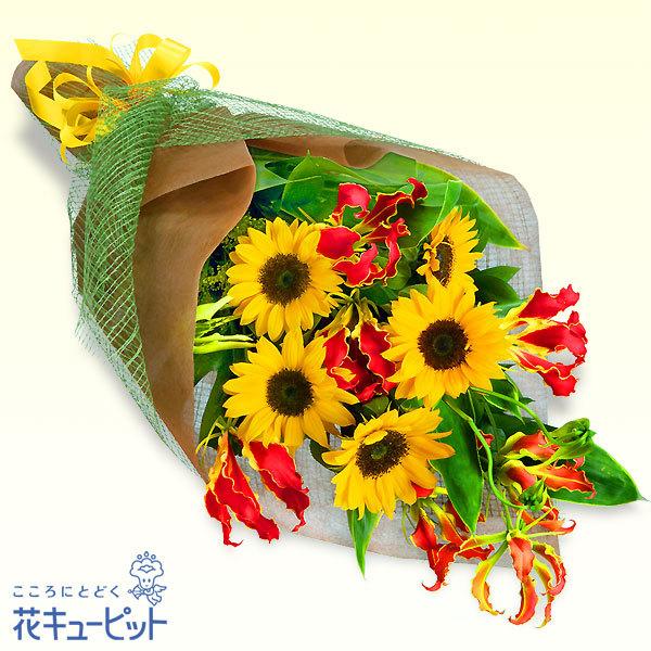 ひまわり特集 お中元 無料サンプルok 暑中見舞い 花キューピットのひまわりとグロリオサの花束 お祝い