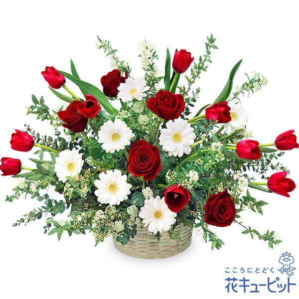 チューリップ特集 お誕生日 記念日 歓送迎 お祝い ホワイトデー 花キューピットの赤チューリップの豪華なアレンジメント インターネット花キューピット 通販 Paypayモール
