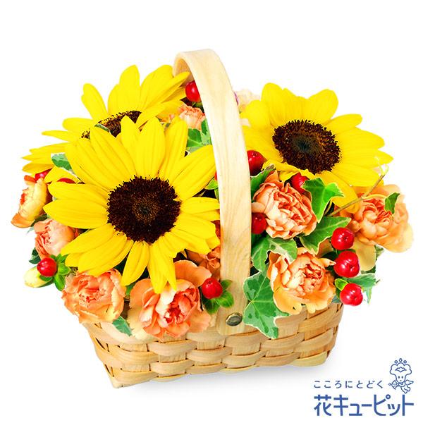 特売 誕生日フラワーギフト 女性 男性 彼氏彼女 夫妻 父母 ギフト プレゼント 花キューピットのひまわりのウッドバスケット