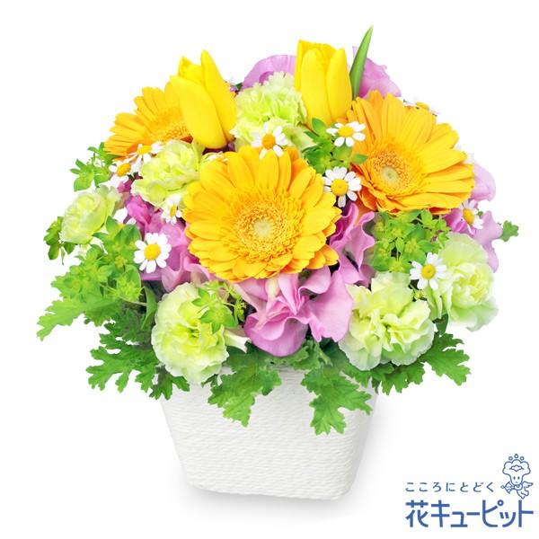 誕生日フラワーギフト 女性 男性 彼氏彼女 夫妻 父母 ギフト プレゼント 花キューピットの春の
