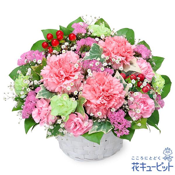 【誕生日フラワーギフト】花キューピット 女性 男性 彼氏彼女 夫妻 父母 ギフト プレゼント ピンクカーネーションのアレンジメント（Yahoo!・花キューピット）