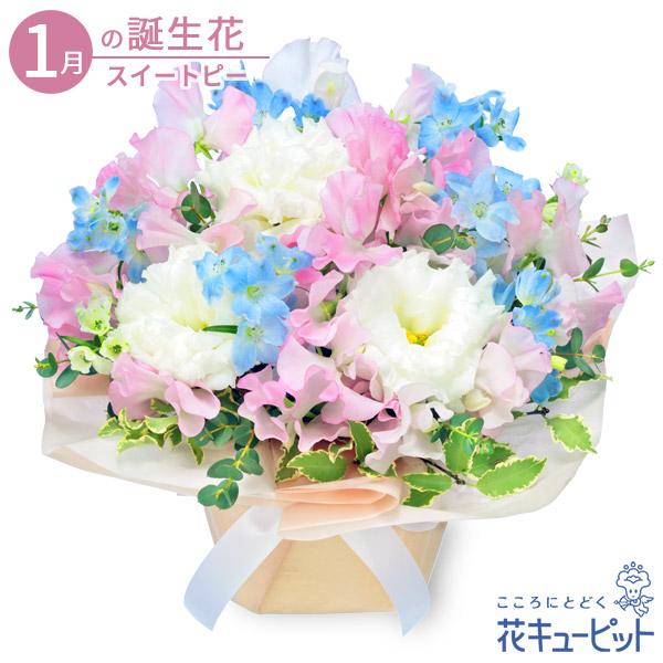 1月の誕生花 スイートピー お祝い 記念日 プレゼント フラワーギフト 花キューピットの1月のバースデーアレンジメント インターネット花キューピット 通販 Paypayモール