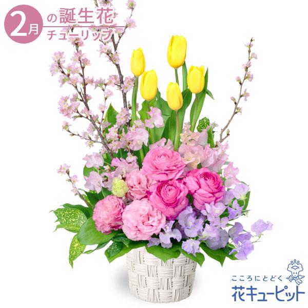 驚きの値段で の友人 誕生日 お祝い 家族 インターネット花キューピット 家族 生花 誕生日 通販 花キューピットのチューリップと桜のアレンジメント プレゼント 記念日 2月の誕生花 チューリップ等 フラワーアレンジメント