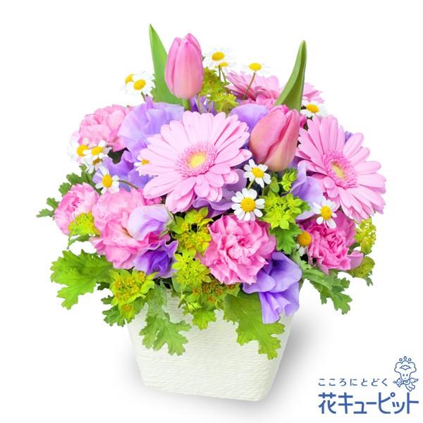注目の 2月の誕生花 チューリップ 誕生日 お祝い 記念日 プレゼント 家族 友人 花キューピットの春のガーデンアレンジメント ピンク 公式の Www Aqtsolutions Com