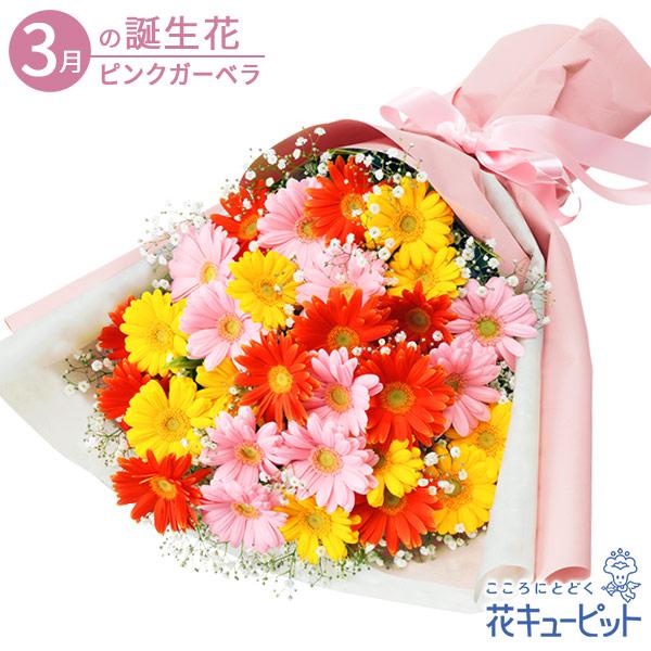 3月の誕生花 ピンクガーベラ等 誕生日 誕生日 お祝い 記念日 記念日 プレゼント 花キューピットのカラフルなガーベラの花束 インターネット花キューピット 通販 お祝い