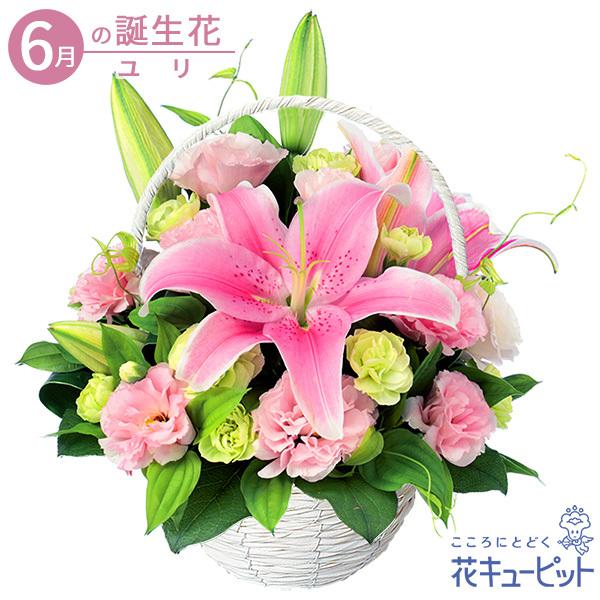 6月の誕生花 ユリ 誕生日 お祝い 記念日 プレゼント 花キューピットのピンクユリのバスケットアレンジメント インターネット花キューピット 通販 Paypayモール