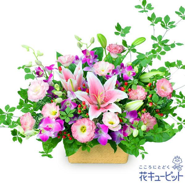 最大 Offクーポン 6月の誕生花 ユリ 誕生日 お祝い 記念日 プレゼント 花キューピットのピンクユリとデンファレのアレンジメント Globescoffers Com