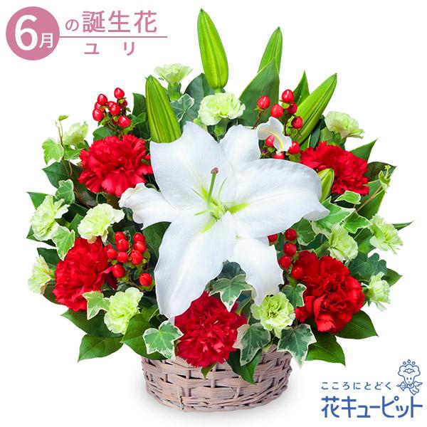 年末のプロモーション大特価 記念日 6月の誕生花 プレゼント お祝い 花キューピットの白ユリのアレンジメント ユリ 誕生日 フラワーアレンジメント