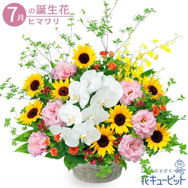 最新な 7月の誕生花 ひまわり 花 ギフト 誕生日 プレゼント花キューピットのひまわりと胡蝶蘭の豪華なアレンジメント