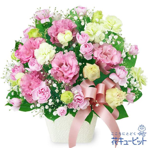 結婚記念日 夫婦 祖父母 一周年 花婚式 銀婚式 金婚式 ギフト プレゼント 花キューピットのトルコキキョウのリボンアレンジメント Yb00 インターネット花キューピット 通販 Yahoo ショッピング