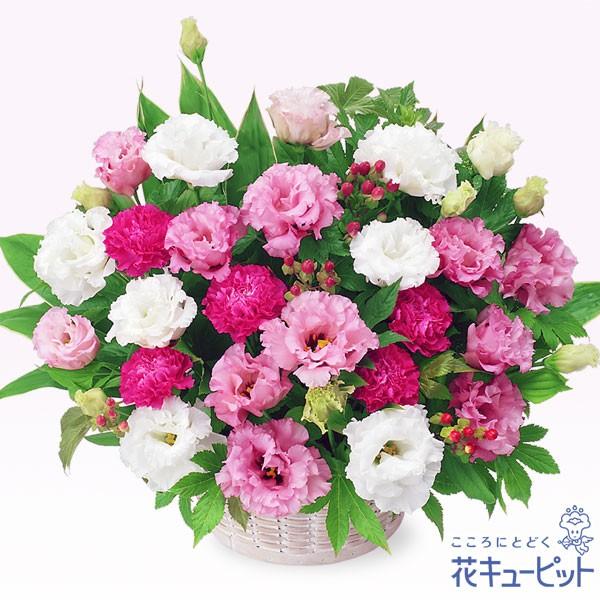 お祝い花誕生日生花記念日歓送迎結婚祝い花キューピットの2色トルコキキョウのアレンジメントインターネット花キューピットお祝い 通販誕生日