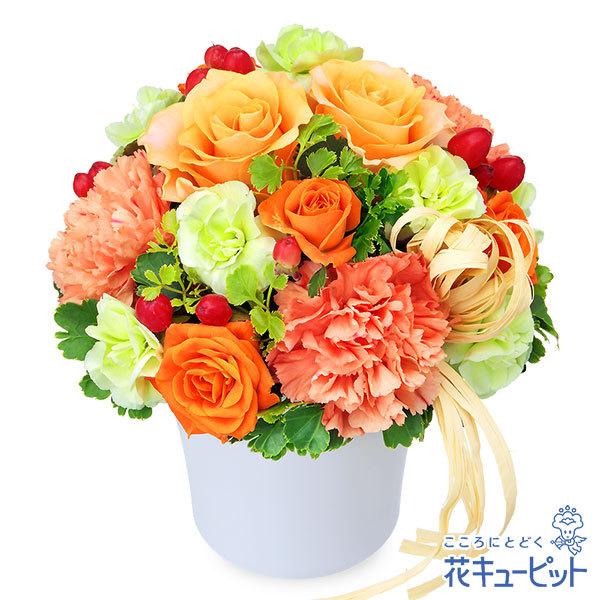 限定価格セール お祝い 2020新作 花 誕生日 結婚祝い花キューピットのオレンジバラのナチュラルアレンジメント 歓送迎 記念日
