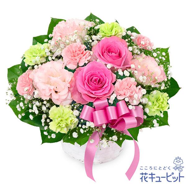 【お祝い】花キューピット 敬老の日 誕生日 記念日 結婚祝い 歓送迎 還暦 開店開業 卒業入学 生花 ピンクバラとリボンのアレンジメント（Yahoo!・花キューピット）